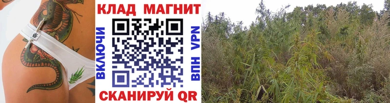 Купить наркотики цена Хвалынск ГАШИШ КОКАИН Меф мяу мяу Конопля
